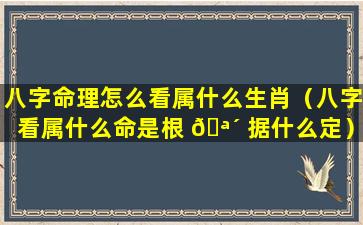 八字命理怎么看属什么生肖（八字看属什么命是根 🪴 据什么定）